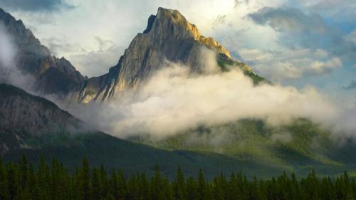 Opal Range surrounded by fog, Kananaskis Country, Alberta, Canada (© Tim Fitzharris/Minden Pictures) Bing Everyday Wallpaper 2020-06-11
/tmp/UploadBetanzjjhE [Bing Everyday Wall Paper 2020-06-11] url = http://www.bing.com/th?id=OHR.OpalRangeFog_ROW9933494103_1920x1080.jpg

File Size (KB): 331.99 KB
Last Modified: November 26 2021 18:37:50
