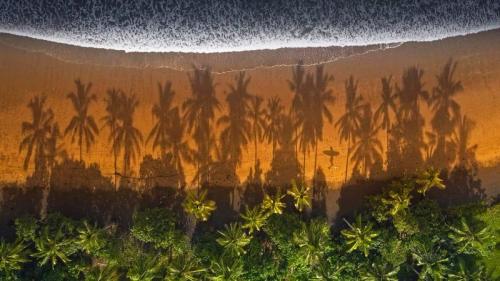 ｢マデウィ・ビーチ｣インドネシア, バリ島 (© helivideo/GettyImages) Bing Everyday Wallpaper 2020-06-15
/tmp/UploadBetaHOEZ0k [Bing Everyday Wall Paper 2020-06-15] url = http://www.bing.com/th?id=OHR.SurfSeason_JA-JP2308372716_1920x1080.jpg

File Size (KB): 320.38 KB
Last Modified: November 26 2021 18:37:47
