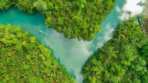 The Bojo River in Cebu, Philippines (© Amazing Aerial Agency/Offset by Shutterstock) Bing Everyday Wallpaper 2020-06-19
/tmp/UploadBetaAydKbp [Bing Everyday Wall Paper 2020-06-19] url = http://www.bing.com/th?id=OHR.BojoRiver_EN-US3215754715_1920x1080.jpg

File Size (KB): 320.58 KB
Last Modified: November 26 2021 18:37:51
