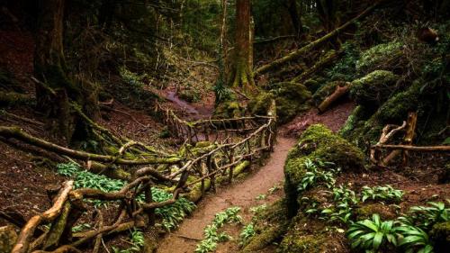 Path through Puzzlewood, Forest of Dean, Gloucestershire (© GuyBerresfordPhotography/iStock/Getty Images Plus) Bing Everyday Wallpaper 2020-06-24
/tmp/UploadBetaFnJLxN [Bing Everyday Wall Paper 2020-06-24] url = http://www.bing.com/th?id=OHR.PuzzlewoodPath_EN-GB8746967446_1920x1080.jpg

File Size (KB): 326.14 KB
Last Modified: November 26 2021 18:37:46
