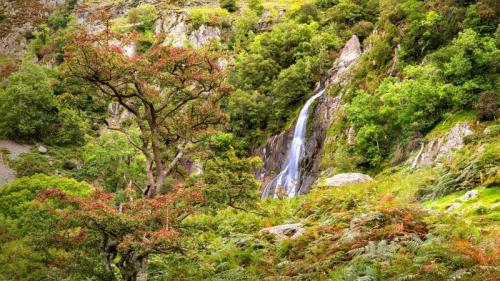 Aber Falls in Snowdonia National Park, Gwynedd (© ValeryEgorov/iStock/Getty Images Plus) Bing Everyday Wallpaper 2020-07-09
/tmp/UploadBetaslMdvG [Bing Everyday Wall Paper 2020-07-09] url = http://www.bing.com/th?id=OHR.AberFalls_EN-GB6776038067_1920x1080.jpg

File Size (KB): 327.27 KB
Last Modified: November 26 2021 18:36:51
