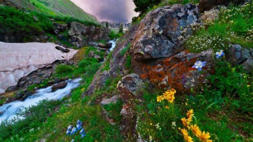 位于科罗拉多南部圣胡安山脉的美国盆地 (© Blaine Harrington III/Alamy) Bing Everyday Wallpaper 2020-07-09
/tmp/UploadBetavSrZDT [Bing Everyday Wall Paper 2020-07-09] url = http://www.bing.com/th?id=OHR.ColoradoColumbine_ZH-CN0901580141_1920x1080.jpg

File Size (KB): 328.07 KB
Last Modified: November 26 2021 18:36:51
