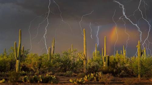 Lightning storm in the Tortolita Mountain foothills, north of Tucson, Arizona, USA (© Jack Dykinga/Minden Pictures) Bing Everyday Wallpaper 2020-08-01
/tmp/UploadBetagQK28g [Bing Everyday Wall Paper 2020-08-01] url = http://www.bing.com/th?id=OHR.SaguaroLightning_EN-AU4250008243_1920x1080.jpg

File Size (KB): 324.49 KB
Last Modified: November 26 2021 18:37:08
