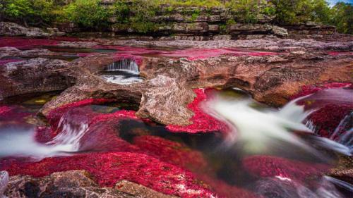 马卡雷纳山脉中的卡诺克里斯塔尔斯河，哥伦比亚 (© Jorge Iván Vásquez Cuartas/Getty Images) Bing Everyday Wallpaper 2020-08-24
/tmp/UploadBetawIpRCd [Bing Everyday Wall Paper 2020-08-24] url = http://www.bing.com/th?id=OHR.CrystalRiver_ZH-CN0516566745_1920x1080.jpg

File Size (KB): 329.43 KB
Last Modified: November 26 2021 18:37:04
