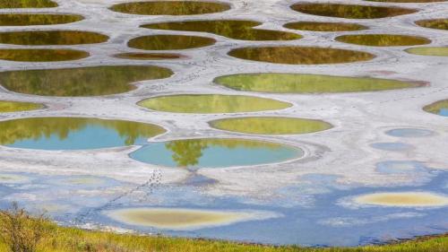 Spotted Lake in the Okanagan region of British Columbia, Canada (© Galyna Andrushko/Shutterstock) Bing Everyday Wallpaper 2020-08-25
/tmp/UploadBetafs4D04 [Bing Everyday Wall Paper 2020-08-25] url = http://www.bing.com/th?id=OHR.OkanaganSpots_EN-AU5007663188_1920x1080.jpg

File Size (KB): 329.16 KB
Last Modified: November 26 2021 18:37:13
