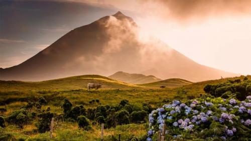 一头公牛站在皮库山前的田野中，亚速尔群岛皮科岛 (© Atmo-Sphere/Getty Images) Bing Everyday Wallpaper 2020-09-04
/tmp/UploadBetaaoxg2D [Bing Everyday Wall Paper 2020-09-04] url = http://www.bing.com/th?id=OHR.PicoIsland_ZH-CN6719354511_1920x1080.jpg

File Size (KB): 323.33 KB
Last Modified: November 26 2021 18:37:38
