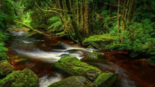 Franklin-Gordon Wild Rivers National Park, Tasmania (© Heeb Photos/eStock Photo) Bing Everyday Wallpaper 2020-09-10
/tmp/UploadBetaizCDSb [Bing Everyday Wall Paper 2020-09-10] url = http://www.bing.com/th?id=OHR.FranklinGordonRivers_EN-AU1076516277_1920x1080.jpg

File Size (KB): 253.79 KB
Last Modified: November 26 2021 18:37:43
