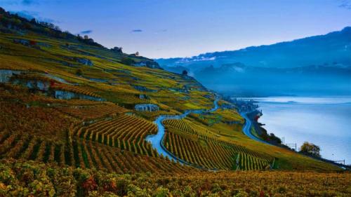 日内瓦湖岸上陡峭的拉沃葡萄园梯田，瑞士 (© Yves Marcoux/plainpicture) Bing Everyday Wallpaper 2020-09-29
/tmp/UploadBeta8E4sVd [Bing Everyday Wall Paper 2020-09-29] url = http://www.bing.com/th?id=OHR.Lavaux_ZH-CN1891785892_1920x1080.jpg

File Size (KB): 325.54 KB
Last Modified: November 26 2021 18:37:38
