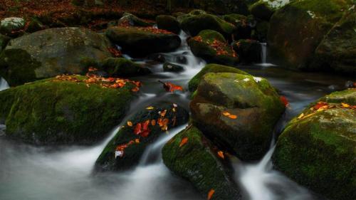 大雾山国家公园中的咆哮叉，田纳西州 (© Bernie Kasper/Getty Images) Bing Everyday Wallpaper 2020-10-09
/tmp/UploadBetaVhHiOL [Bing Everyday Wall Paper 2020-10-09] url = http://www.bing.com/th?id=OHR.RoaringCascade_ZH-CN7814945705_1920x1080.jpg

File Size (KB): 328.24 KB
Last Modified: November 26 2021 18:37:23
