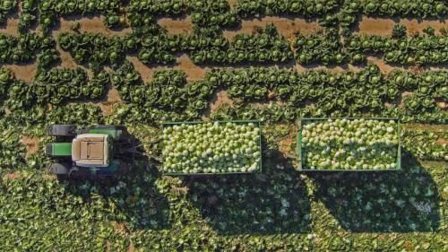 田里的拖拉机和装载着卷心菜的拖车，奥地利圣珀尔滕 (© Stephan Zirwes/Getty Images) Bing Everyday Wallpaper 2020-10-16
/tmp/UploadBetamfRQaJ [Bing Everyday Wall Paper 2020-10-16] url = http://www.bing.com/th?id=OHR.WorldFoodDay_ZH-CN0834763150_1920x1080.jpg

File Size (KB): 327.04 KB
Last Modified: November 26 2021 18:37:14
