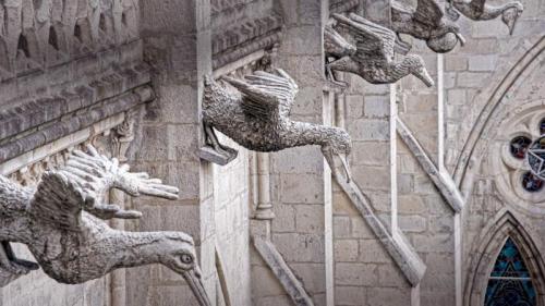 Statuen heimischer Meeresvögel an der Basílica del Voto Nacional in Quito, Ecuador (© Henri Leduc/Getty Images) Bing Everyday Wallpaper 2020-10-27
/tmp/UploadBetaYePP5T [Bing Everyday Wall Paper 2020-10-27] url = http://www.bing.com/th?id=OHR.BasilicaVoto_DE-DE3370605791_1920x1080.jpg

File Size (KB): 327.45 KB
Last Modified: November 26 2021 18:37:24
