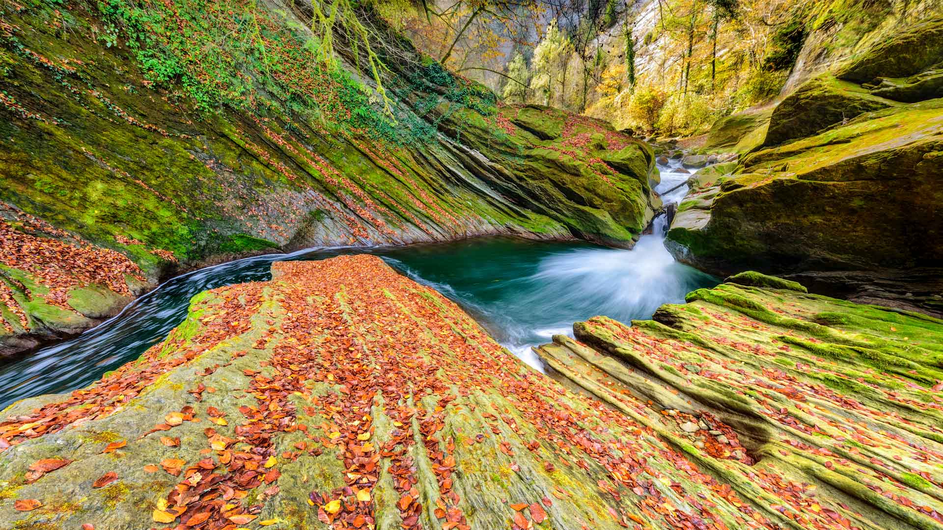 阿尔卑斯山Cheran峡谷中流淌的河流，法国萨瓦 (© Jean-Philippe Delobelle/Minden) Bing Everyday Wallpaper 2020-11-01, lLcxYe [Bing Everyday Wall Paper 2020-11-01] url = http://www.bing.com/th?id=OHR.GorgeSavoie_ZH-CN9079188802_1920x1080.jpg