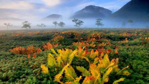 ｢シダの紅葉｣北海道 (© Hiroshi Yokoyama/Sime/eStock Photo) Bing Everyday Wallpaper 2020-11-07
/tmp/UploadBetaq6cgzW [Bing Everyday Wall Paper 2020-11-07] url = http://www.bing.com/th?id=OHR.HokkaidoShida_JA-JP4718345950_1920x1080.jpg

File Size (KB): 314.81 KB
Last Modified: November 26 2021 18:37:30
