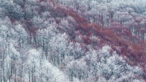 部分被雪覆盖的Val Cervara山坡上的老山毛榉林，意大利蒙帕赛诺 (© Bruno D'Amicis/Minden Pictures) Bing Everyday Wallpaper 2020-11-28
/tmp/UploadBetaU3Df7R [Bing Everyday Wall Paper 2020-11-28] url = http://www.bing.com/th?id=OHR.ValCervara_ZH-CN1889046979_1920x1080.jpg

File Size (KB): 328.22 KB
Last Modified: November 26 2021 18:37:29

