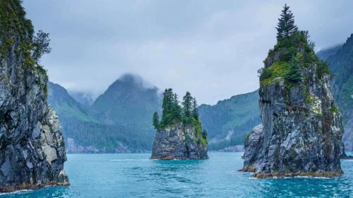 基奈峡湾国家公园的尖顶湾，阿拉斯加 (© Sekar B/Shutterstock) Bing Everyday Wallpaper 2020-12-02
/tmp/UploadBetaXgnHNo [Bing Everyday Wall Paper 2020-12-02] url = http://www.bing.com/th?id=OHR.PorcupineBay_ZH-CN2252758146_1920x1080.jpg

File Size (KB): 322.98 KB
Last Modified: November 26 2021 18:36:15
