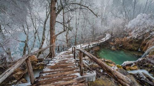 普利特维采湖群国家公园中的高架步道，克罗地亚 (© Alessandro Laporta/Offset by Shutterstock) Bing Everyday Wallpaper 2020-12-06
/tmp/UploadBeta3pwgeC [Bing Everyday Wall Paper 2020-12-06] url = http://www.bing.com/th?id=OHR.PLNP_ZH-CN8120863549_1920x1080.jpg

File Size (KB): 323.34 KB
Last Modified: November 26 2021 18:36:23
