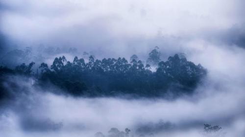 雾气环绕的森林，喀拉拉邦慕那尔市，印度 (© Ahammed Riswan/EyeEm/Getty Images) Bing Everyday Wallpaper 2020-12-16
/tmp/UploadBetaDrI4IC [Bing Everyday Wall Paper 2020-12-16] url = http://www.bing.com/th?id=OHR.MunnarMist_ZH-CN8816703625_1920x1080.jpg

File Size (KB): 299.09 KB
Last Modified: November 26 2021 18:36:14
