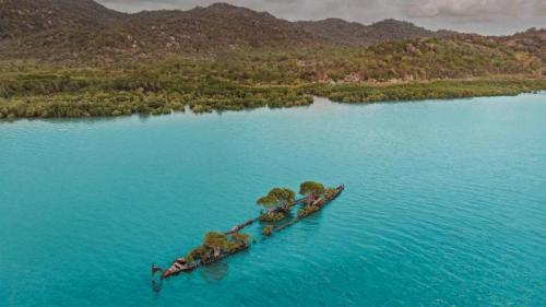 航拍生长着树木的遇难船“阿德莱德市”残骸，澳大利亚磁岛 (© Amazing Aerial Agency/Offset by Shutterstock) Bing Everyday Wallpaper 2021-03-19
/tmp/UploadBetaLopB7c [Bing Everyday Wall Paper 2021-03-19] url = http://www.bing.com/th?id=OHR.MagneticIsland_ZH-CN9302186671_1920x1080.jpg

File Size (KB): 327.16 KB
Last Modified: November 26 2021 18:33:29
