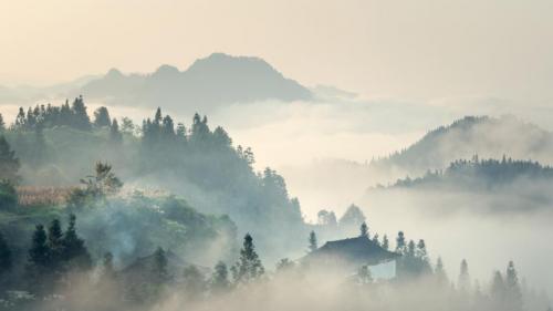 【今日清明】（ © yangphoto ） Bing Everyday Wallpaper 2021-04-04
/tmp/UploadBeta7WM570 [Bing Everyday Wall Paper 2021-04-04] url = http://www.bing.com/th?id=OHR.Qingming2021_ZH-CN6154314555_1920x1080.jpg

File Size (KB): 295.37 KB
Last Modified: November 26 2021 18:32:06
