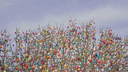 An Ostereierbaum (Easter egg tree) in Saalfeld, Germany (© Rudi Sebastian/Alamy) Bing Everyday Wallpaper 2021-04-04
/tmp/UploadBetatSeqzF [Bing Everyday Wall Paper 2021-04-04] url = http://www.bing.com/th?id=OHR.EggTree_EN-GB8129448208_1920x1080.jpg

File Size (KB): 322.02 KB
Last Modified: November 26 2021 18:32:06
