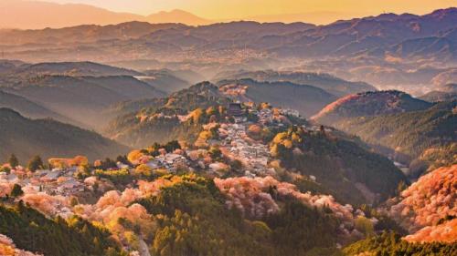 吉野山，日本奈良 (© Sean Pavone/iStock/Getty Images Plus) Bing Everyday Wallpaper 2021-04-11
/tmp/UploadBetavfd5Su [Bing Everyday Wall Paper 2021-04-11] url = http://www.bing.com/th?id=OHR.YoshinoyamaSpring_ZH-CN5545606722_1920x1080.jpg

File Size (KB): 325.69 KB
Last Modified: November 26 2021 18:32:16

