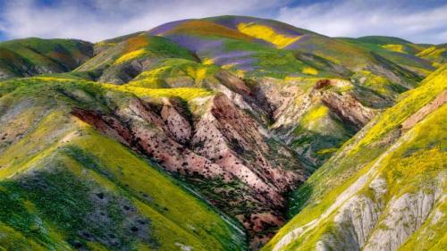 卡里佐平原国家纪念区的野花，加利福尼亚 (© Dennis Frates/Alamy) Bing Everyday Wallpaper 2021-04-14
/tmp/UploadBetaeKcQ1R [Bing Everyday Wall Paper 2021-04-14] url = http://www.bing.com/th?id=OHR.CarrizoPlain_ZH-CN5933565493_1920x1080.jpg

File Size (KB): 328.34 KB
Last Modified: November 26 2021 18:32:11
