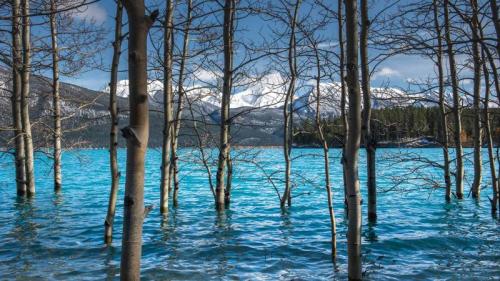 亚伯拉罕湖中的树，加拿大艾伯塔 (© Coolbiere/Getty Images) Bing Everyday Wallpaper 2021-04-15
/tmp/UploadBeta3AL8wv [Bing Everyday Wall Paper 2021-04-15] url = http://www.bing.com/th?id=OHR.AlbertaTrunks_ZH-CN6124025876_1920x1080.jpg

File Size (KB): 316.64 KB
Last Modified: November 26 2021 18:32:09
