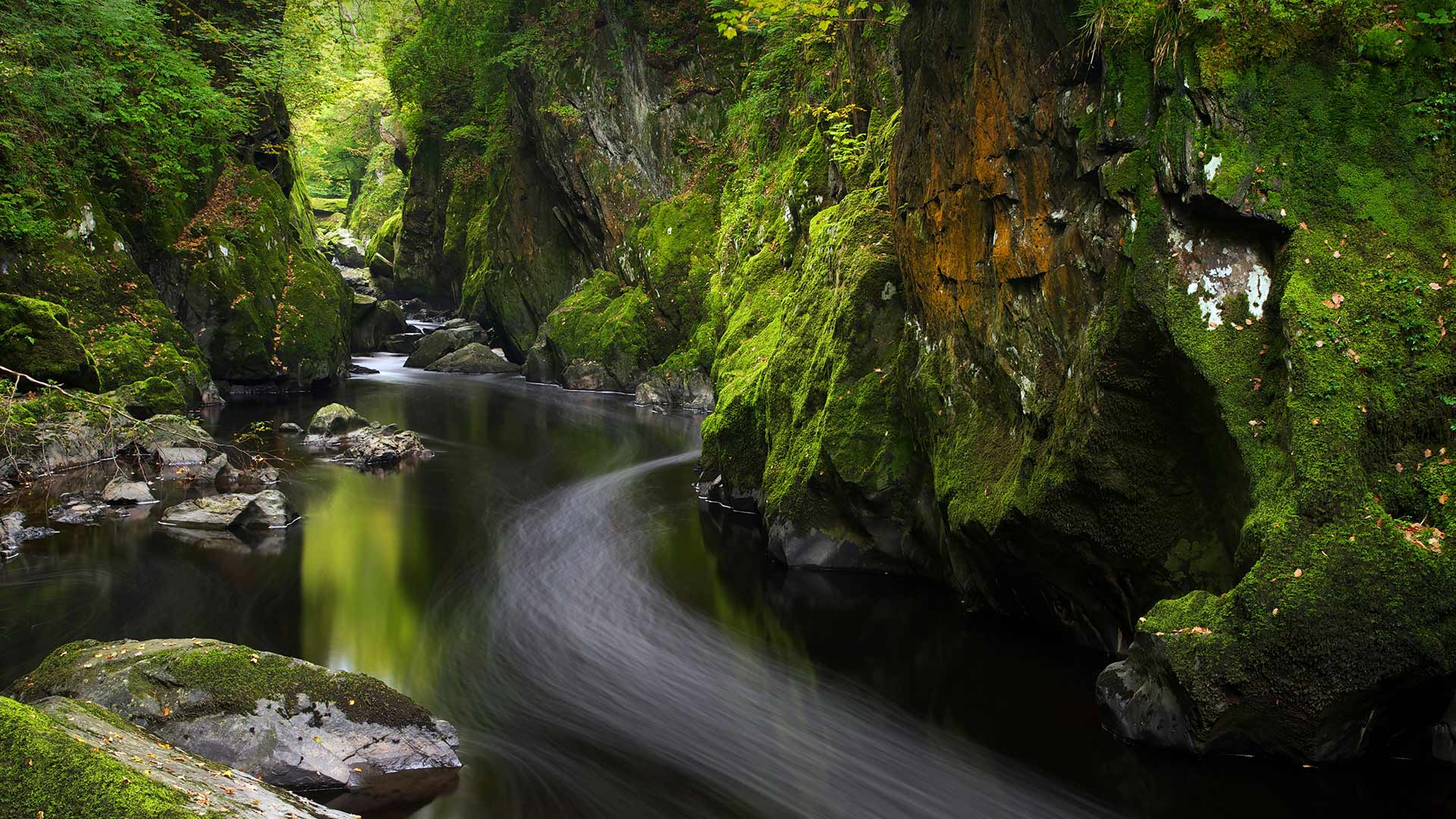 贝图瑟科伊德的Fairy Glen，英国威尔士 (© Robert Harding World Imagery/Offset by Shutterstock) Bing Everyday Wallpaper 2021-04-23, hjhEe1 [Bing Everyday Wall Paper 2021-04-23] url = http://www.bing.com/th?id=OHR.MossyCanyon_ZH-CN7931722740_1920x1080.jpg