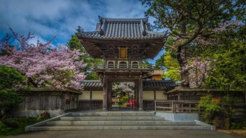 金门公园中日本茶园里盛开的樱花，加州旧金山  (© luisascanio/iStock/Getty Images) Bing Everyday Wallpaper 2021-05-01
/tmp/UploadBetaQKeP1v [Bing Everyday Wall Paper 2021-05-01] url = http://www.bing.com/th?id=OHR.GGTeaGarden_ZH-CN8933043250_1920x1080.jpg

File Size (KB): 327.96 KB
Last Modified: November 26 2021 18:32:57
