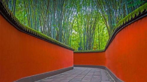 武侯祠内红墙和竹林掩映下的小巷，中国成都 (© Eastimages/Getty Images) Bing Everyday Wallpaper 2021-05-29
/tmp/UploadBetaDctQNr [Bing Everyday Wall Paper 2021-05-29] url = http://www.bing.com/th?id=OHR.RedAlley_ZH-CN2795378972_1920x1080.jpg

File Size (KB): 325.62 KB
Last Modified: November 26 2021 18:32:52
