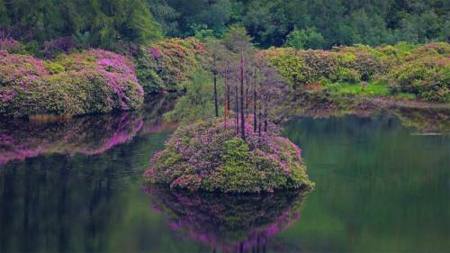 格伦·埃蒂夫盛开着石南花的小湖，苏格兰 (© Oliver Hellowell/Minden Pictures) Bing Everyday Wallpaper 2021-06-11
/tmp/UploadBetajxq6Kt [Bing Everyday Wall Paper 2021-06-11] url = http://www.bing.com/th?id=OHR.GlenEtive_ZH-CN2562811591_1920x1080.jpg

File Size (KB): 327.9 KB
Last Modified: November 26 2021 18:34:31

