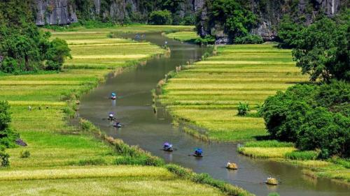 Ngo Dong河两岸的稻田美景，越南宁平省 (© Jeremy Woodhouse/Getty Images) Bing Everyday Wallpaper 2021-07-15
/tmp/UploadBetai9rzYJ [Bing Everyday Wall Paper 2021-07-15] url = http://www.bing.com/th?id=OHR.NgoDong_ZH-CN6211342982_1920x1080.jpg

File Size (KB): 299.07 KB
Last Modified: November 26 2021 18:33:04
