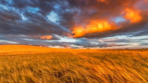 东洛锡安的金黄麦田，苏格兰 (© Scott Masterton/plainpicture) Bing Everyday Wallpaper 2021-08-01
/tmp/UploadBetaYISThC [Bing Everyday Wall Paper 2021-08-01] url = http://www.bing.com/th?id=OHR.LammasDay_ZH-CN4229387191_1920x1080.jpg

File Size (KB): 332.11 KB
Last Modified: November 26 2021 18:33:39
