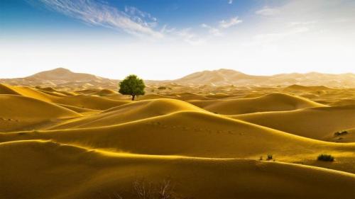 Die Sandwüste Rub al-Chali an der Grenze zwischen Oman und den Vereinigten Arabischen Emiraten (© Daniel Schoenen/Offset by Shutterstock) Bing Everyday Wallpaper 2021-08-17
/tmp/UploadBetaaQ5vOD [Bing Everyday Wall Paper 2021-08-17] url = http://www.bing.com/th?id=OHR.EmptyQuarter_DE-DE9623447075_1920x1080.jpg

File Size (KB): 330.64 KB
Last Modified: November 26 2021 18:33:37

