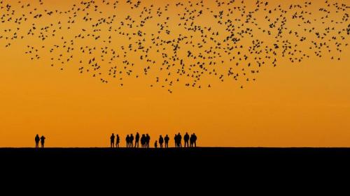 秋季在湿地上空迁徙的椋鸟群 (© Viking/Alamy) Bing Everyday Wallpaper 2021-09-20
/tmp/UploadBetaAEUdBH [Bing Everyday Wall Paper 2021-09-20] url = http://www.bing.com/th?id=OHR.BlackSun_ZH-CN0889682619_1920x1080.jpg

File Size (KB): 310.32 KB
Last Modified: November 26 2021 18:34:23

