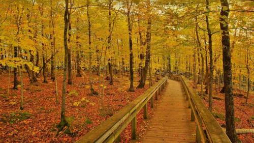 豪猪山荒野国家公园中的小路，美国密歇根州 (© Pat & Chuck Blackley/Alamy) Bing Everyday Wallpaper 2021-09-25
/tmp/UploadBetakuJ9A8 [Bing Everyday Wall Paper 2021-09-25] url = http://www.bing.com/th?id=OHR.PorkiesTrail_ZH-CN0014697428_1920x1080.jpg

File Size (KB): 329.6 KB
Last Modified: November 26 2021 18:34:25
