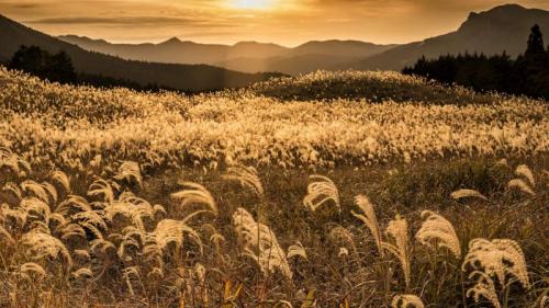｢曽爾高原の夕焼け｣奈良県 (© Ken1200/Shutterstock) Bing Everyday Wallpaper 2021-09-27
/tmp/UploadBetaxtrwdB [Bing Everyday Wall Paper 2021-09-27] url = http://www.bing.com/th?id=OHR.Susuki__JA-JP6548971154_1920x1080.jpg

File Size (KB): 330.32 KB
Last Modified: November 26 2021 18:34:24
