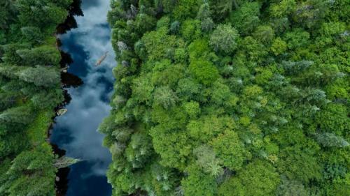 Boreal forest, Quebec, Canada (© Onfokus/Getty Images) Bing Everyday Wallpaper 2021-10-06
/tmp/UploadBetaUBRLIu [Bing Everyday Wall Paper 2021-10-06] url = http://www.bing.com/th?id=OHR.BorealQuebec_ROW0647615403_1920x1080.jpg

File Size (KB): 327.23 KB
Last Modified: November 26 2021 18:33:56
