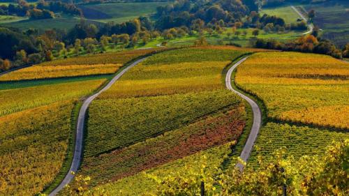 Weinberge auf dem Stollberg bei Handthal, Oberschwarzach, Unterfranken, Bayern (© Rüdiger Hess/geo-select FotoArt) Bing Everyday Wallpaper 2021-10-11
/tmp/UploadBetaHdeXTZ [Bing Everyday Wall Paper 2021-10-11] url = http://www.bing.com/th?id=OHR.HandthalerStollberg_DE-DE8381638223_1920x1080.jpg

File Size (KB): 320.65 KB
Last Modified: November 26 2021 18:33:55
