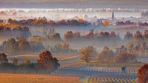 ｢ファッラ・ディ・ソリーゴ｣イタリア, ヴェネト州 (© Olimpio Fantuz/Sime/eStock Photo) Bing Everyday Wallpaper 2021-10-13
/tmp/UploadBetaEGz7OW [Bing Everyday Wall Paper 2021-10-13] url = http://www.bing.com/th?id=OHR.ProseccoHills_JA-JP4230866353_1920x1080.jpg

File Size (KB): 328.02 KB
Last Modified: November 26 2021 18:33:51
