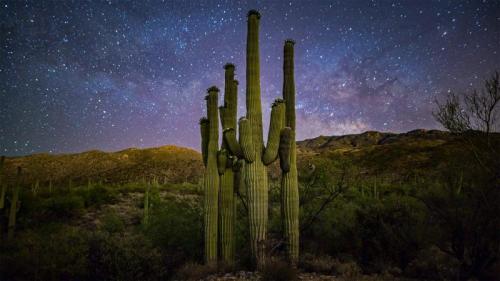 星空下的仙人掌家族，美国萨瓜罗国家公园 (© Christian Foto Az/Shutterstock) Bing Everyday Wallpaper 2021-10-14
/tmp/UploadBetaelYBdW [Bing Everyday Wall Paper 2021-10-14] url = http://www.bing.com/th?id=OHR.SaguaroFamily_ZH-CN3845395676_1920x1080.jpg

File Size (KB): 324.03 KB
Last Modified: November 26 2021 18:33:52
