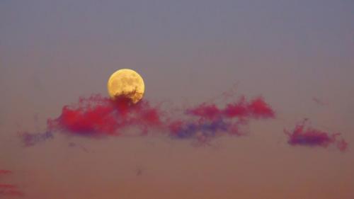 ｢夕焼けに映える月｣ (© kanzilyou/iStock/Getty Images Plus) Bing Everyday Wallpaper 2021-10-18
/tmp/UploadBetamVhKag [Bing Everyday Wall Paper 2021-10-18] url = http://www.bing.com/th?id=OHR.MoonCloud_JA-JP4622393590_1920x1080.jpg

File Size (KB): 333.61 KB
Last Modified: November 26 2021 18:33:57
