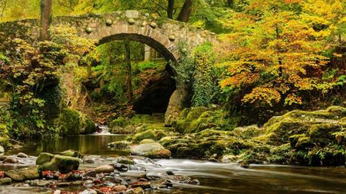 Foley's Bridge over the Shimna River in Tollymore Forest Park in County Down. (© Adrian McGlynn/Alamy) Bing Everyday Wallpaper 2021-10-22
/tmp/UploadBetacbH88F [Bing Everyday Wall Paper 2021-10-22] url = http://www.bing.com/th?id=OHR.FoleysBridge_EN-GB5049245312_1920x1080.jpg

File Size (KB): 320.39 KB
Last Modified: November 26 2021 18:33:51
