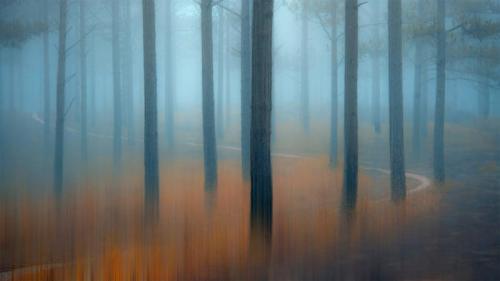 ｢中部高原の松林｣ベトナム (© Thanh Thuy/Moment/Getty Images) Bing Everyday Wallpaper 2021-10-29
/tmp/UploadBetawXypb1 [Bing Everyday Wall Paper 2021-10-29] url = http://www.bing.com/th?id=OHR.MistyForest_JA-JP7309799345_1920x1080.jpg

File Size (KB): 311.62 KB
Last Modified: November 26 2021 18:33:45
