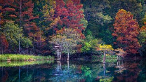 ビーバーズ・ベンド・リゾートパーク, 米国 オクラホマ州 （© Inge Johnsson/Alamy Stock Photo） Bing Everyday Wallpaper 2021-11-11
/tmp/UploadBetaGVrZa4 [Bing Everyday Wall Paper 2021-11-11] url = http://www.bing.com/th?id=OHR.BeaversBend_JA-JP2539821984_1920x1080.jpg

File Size (KB): 319.66 KB
Last Modified: November 26 2021 18:34:08
