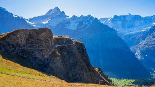 フィルスト・クリフウォーク, スイス （© Hans-Georg Eiben/Huber/eStock Photo） Bing Everyday Wallpaper 2021-11-13
/tmp/UploadBetaBq0hqF [Bing Everyday Wall Paper 2021-11-13] url = http://www.bing.com/th?id=OHR.FirstCliff_JA-JP2632696531_1920x1080.jpg

File Size (KB): 324.93 KB
Last Modified: November 26 2021 18:34:00

