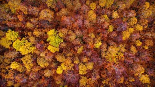 ボヘミアン・スイス国立公園, チェコ共和国 （© Amazing Aerial Agency/Offset） Bing Everyday Wallpaper 2021-11-18
/tmp/UploadBetahGVKbs [Bing Everyday Wall Paper 2021-11-18] url = http://www.bing.com/th?id=OHR.TisaBohemian_JA-JP2135634325_1920x1080.jpg

File Size (KB): 328.48 KB
Last Modified: November 26 2021 18:34:12
