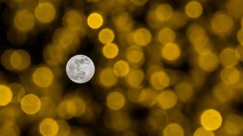 イルミネーションと満月 (© Jesus Merida/Getty Images) Bing Everyday Wallpaper 2021-12-18
/tmp/UploadBetafuIXus [Bing Everyday Wall Paper 2021-12-18] url = http://www.bing.com/th?id=OHR.MoonBeforeYule_JA-JP2576628140_1920x1080.jpg

File Size (KB): 336.89 KB
Last Modified: December 18 2021 00:00:09

