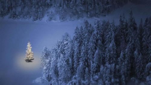 湖畔的一棵小圣诞树，奥地利魏森湖 (© nagelestock/Alamy) Bing Everyday Wallpaper 2021-12-24
/tmp/UploadBetaNHxXiq [Bing Everyday Wall Paper 2021-12-24] url = http://www.bing.com/th?id=OHR.Rauchnachte_ZH-CN6061051054_1920x1080.jpg

File Size (KB): 335.44 KB
Last Modified: December 24 2021 00:00:03
