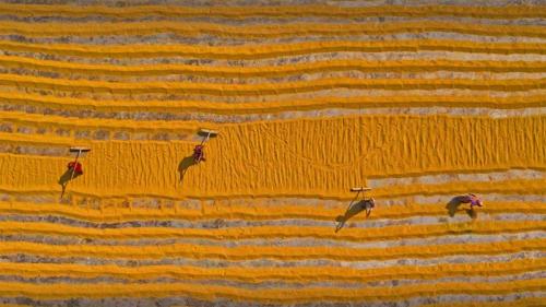 正在晾晒的大米，孟加拉国达卡 (© Amazing Aerial Agency/Offset by Shutterstock) Bing Everyday Wallpaper 2022-01-09
/tmp/UploadBetaPbDeB6 [Bing Everyday Wall Paper 2022-01-09] url = http://www.bing.com/th?id=OHR.RiceBangladesh_ZH-CN0196473460_1920x1080.jpg

File Size (KB): 336.62 KB
Last Modified: January 09 2022 00:00:02
